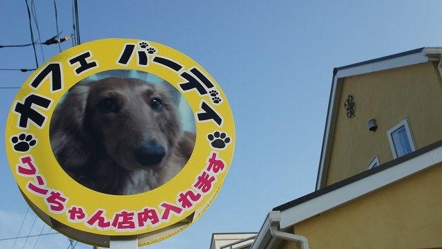 茨城県つくば市のドッグカフェ カフェバーディ Cafedoggy Com