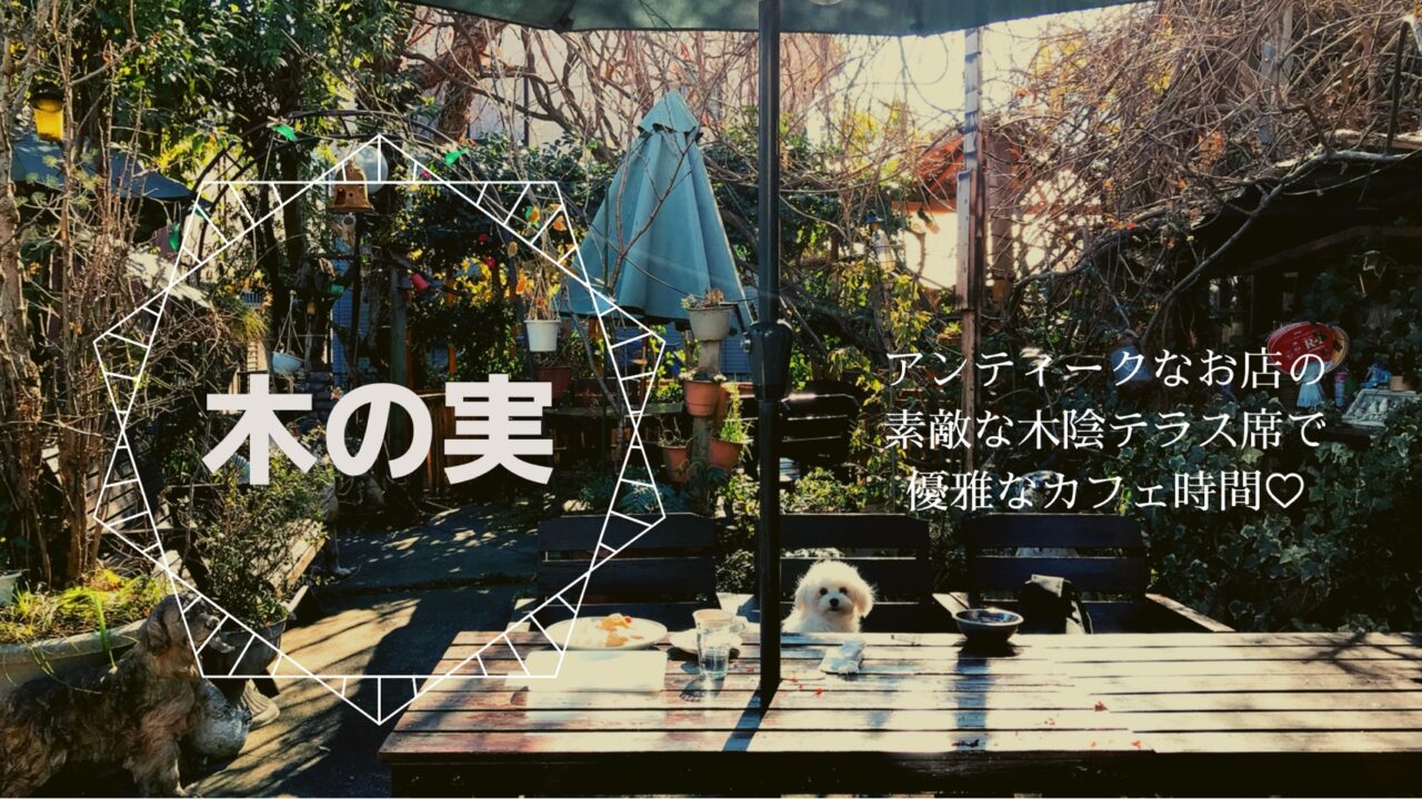 ドッグカフェ巡り 木の実 千葉県流山市 Cafedoggy Com