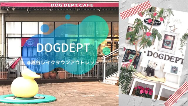 ドッグカフェ巡り Dog Dept Cafe レイクタウンアウトレット店 埼玉県越谷市 Cafedoggy Com
