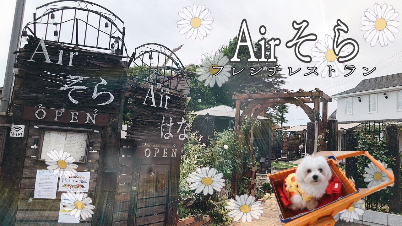 ドッグカフェ巡り Airそら 千葉県野田市 Cafedoggy Com