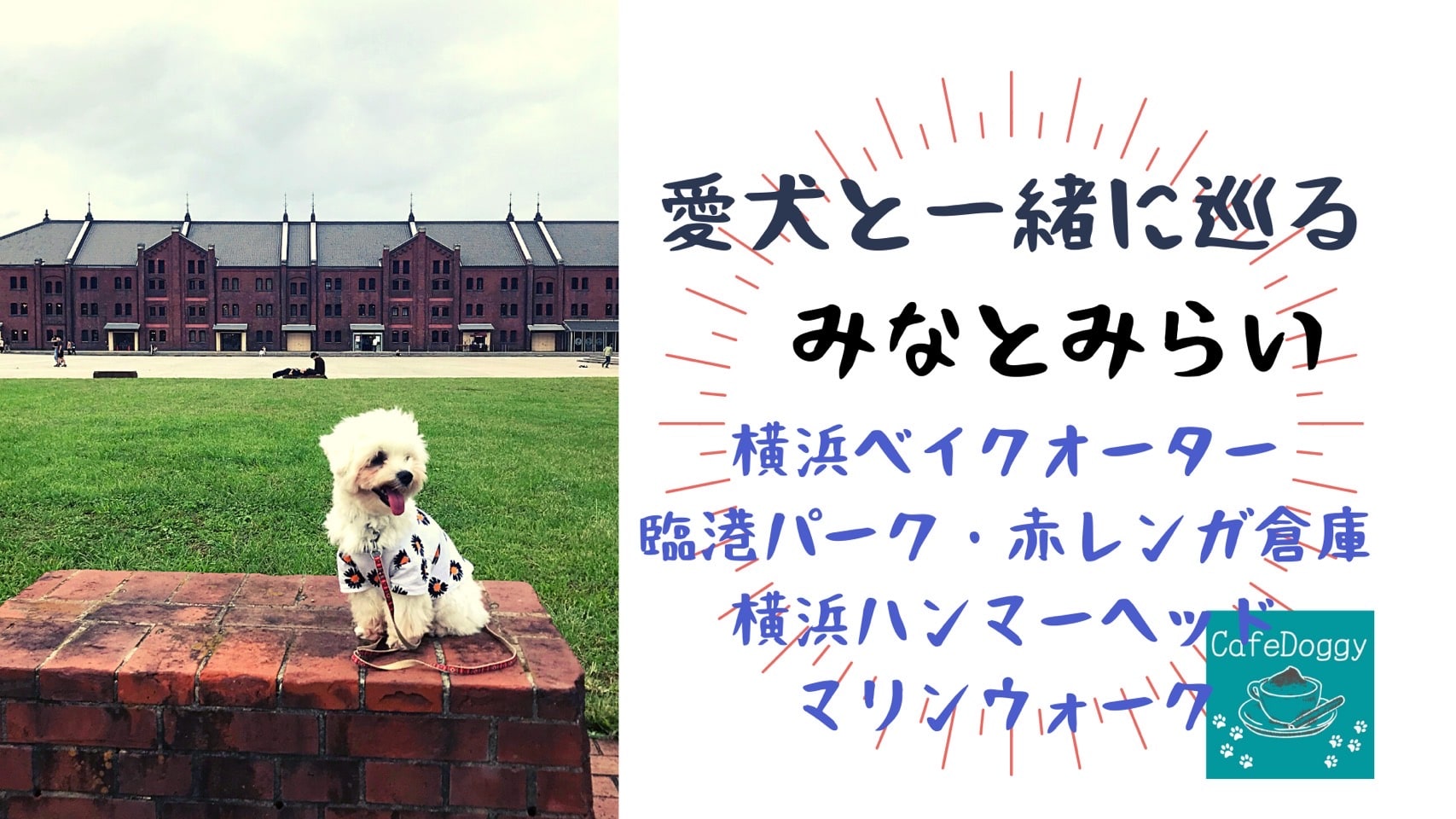 21年版 愛犬と一緒に巡る みなとみらい Cafedoggy Com