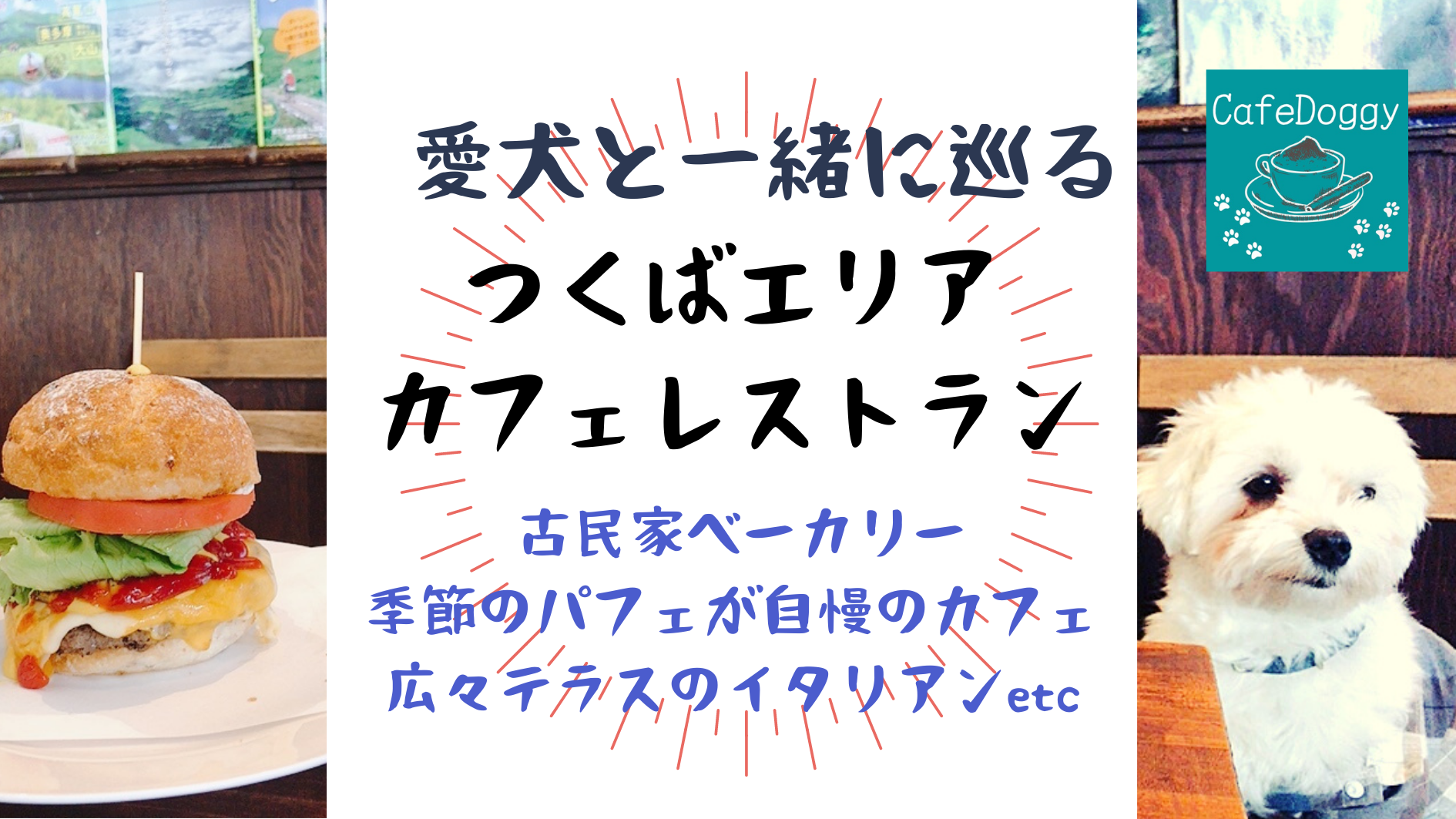 22年版 愛犬と楽しむ つくばエリア ペット可飲食店一覧 Cafedoggy Com